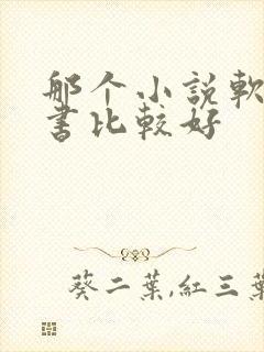 那个小说软件听书比较好