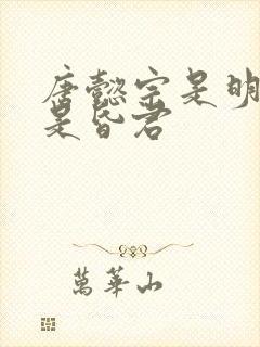 唐懿宗是明君还是昏君
