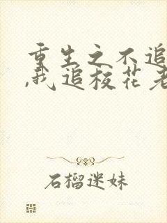 重生之不追校花,我追校花老妈