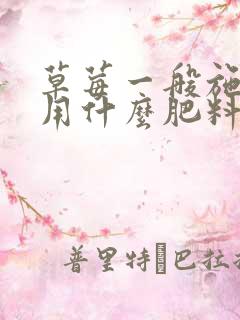 草莓一般施底肥用什么肥料