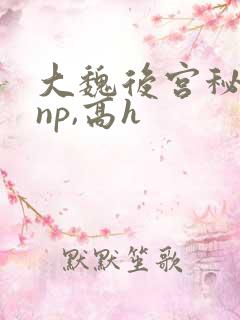 大魏后宫秘史(np,高h