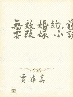 无效婚约,前妻要改嫁 小说