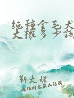 纯种金毛犬幼崽大概多少钱一只 纯种金毛犬幼崽大概多少钱一只
