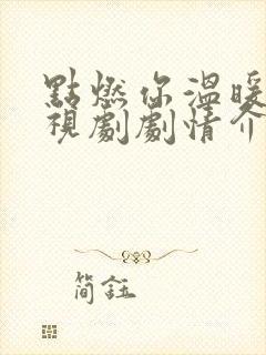 点燃你温暖我电视剧剧情介绍