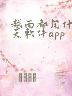 越南都用什么聊天软件app