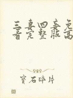 三妻四妾免费观看完整版高清,皇家女御厨