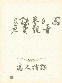 《铁拳》国语版免费观看