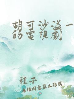 胡可沙溢一起演的电视剧