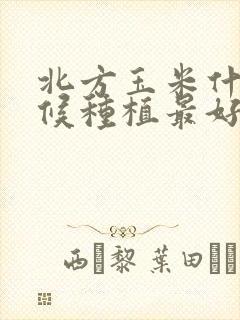 北方玉米什么时候种植最好