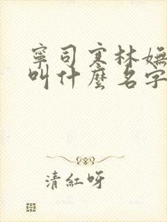 宁司寒林妩小说叫什么名字