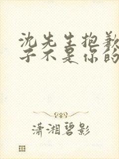 沈先生抱歉,孩子不是你的短剧