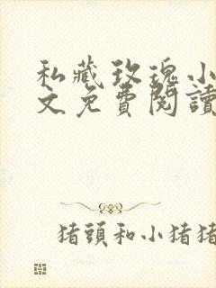 私藏玫瑰小说全文免费阅读无弹窗