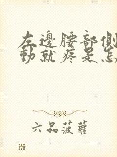 左边腰部侧面一动就疼是怎么回事
