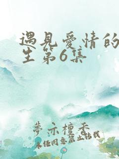 遇见爱情的利先生第6集 遇见爱情的利先生第6集
