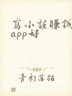 写小说赚钱哪个app好