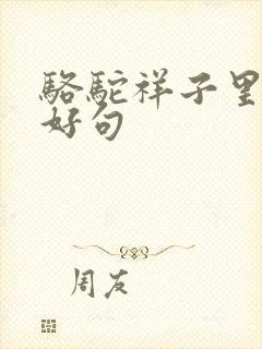 骆驼祥子里面的好句 骆驼祥子里面的好句