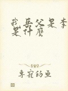 我岳父是李世民是什么