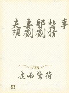 夫妻那些事 电视剧剧情