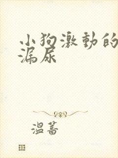 小狗激动的时候漏尿