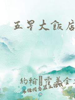 五星大饭店小说