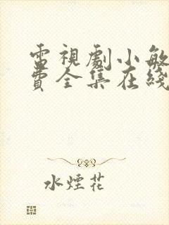 电视剧小敏家免费全集在线观看