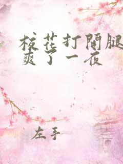 校花打开腿让我爽了一夜 校花打开腿让我爽了一夜