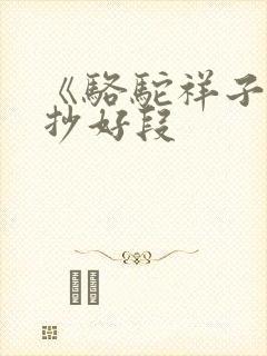 《骆驼祥子》摘抄好段