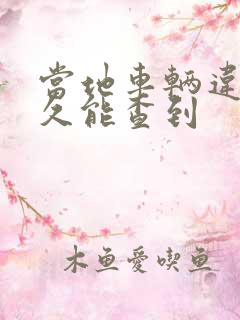当地车辆违章多久能查到