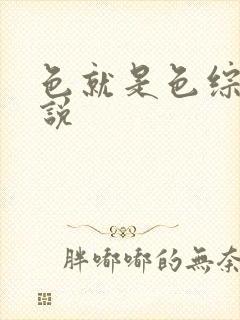 色就是色综合小说