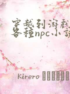 穿越到游戏里和各种npc小说
