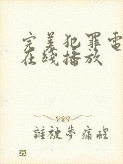 完美犯罪电视剧在线播放