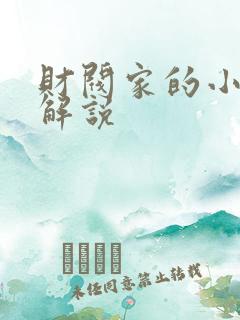 财阀家的小儿子解说
