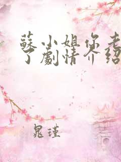 苏小姐你老公掉了剧情介绍 苏小姐你老公掉了剧情介绍