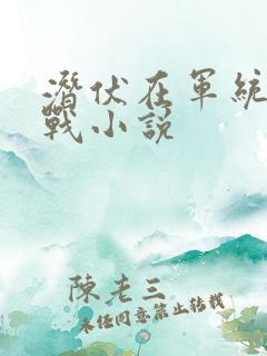 潜伏在军统的谍战小说