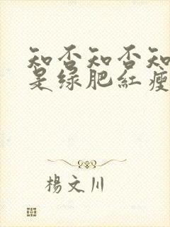 知否知否知否应是绿肥红瘦什么时候拍的