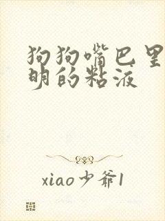 狗狗嘴巴里流透明的粘液