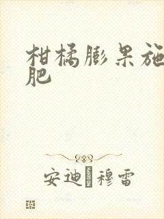 柑橘膨果施什么肥