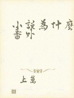 小说为什么要写番外