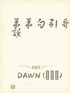 弟弟勾引哥哥小说