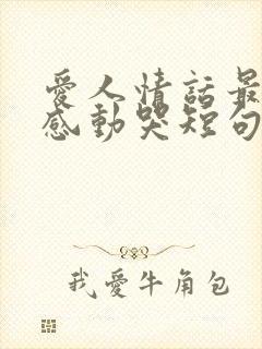 爱人情话最暖心感动哭短句子