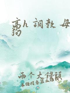 高h 调教 母狗
