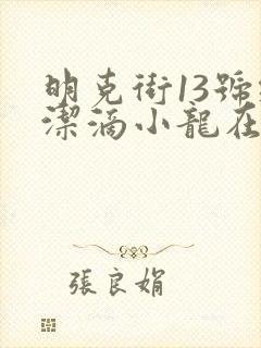明克街13号纯洁滴小龙在线阅读