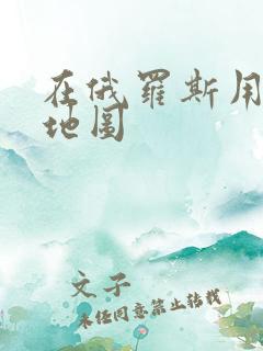 在俄罗斯用什么地图