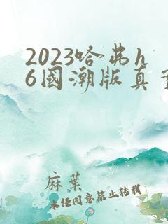2023哈弗h6国潮版真实油耗