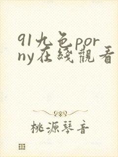 91九色porny在线观看