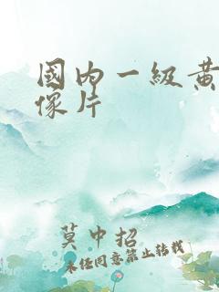 国内一级黄色录像片