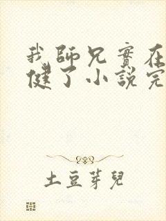 我师兄实在太稳健了小说完整