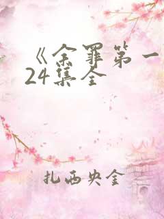 《余罪第一季》24集全