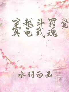 穿越斗罗觉醒玄冥龟武魂
