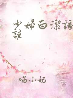 少妇白洁诱惑小说